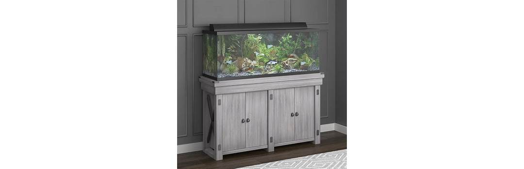 Inspecting fish tank stand and frame